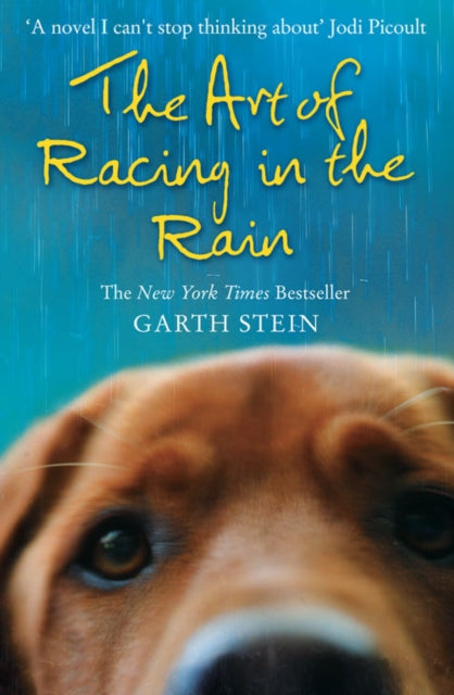 The Art of Racing in the Rain - Agenda Bookshop