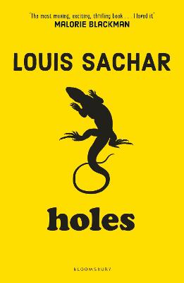 Novel Ideas: Louis Sachar's Small Steps by New Learning Publishing