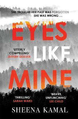 Eyes Like Mine: ''Utterly compelling . . . Will stay with you for a long, long time'' Jeffery Deaver - Agenda Bookshop