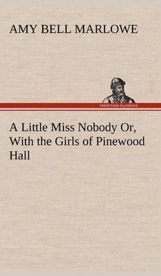 A Little Miss Nobody Or, with the Girls of Pinewood Hall - Agenda Bookshop