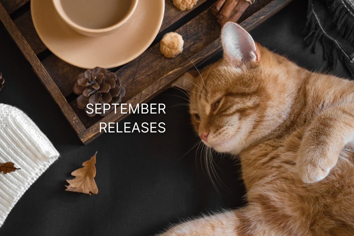 an orange cat lying on  a black table with autumn leaves and acorns