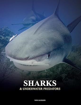 Sharks and Underwater Predators - Agenda Bookshop