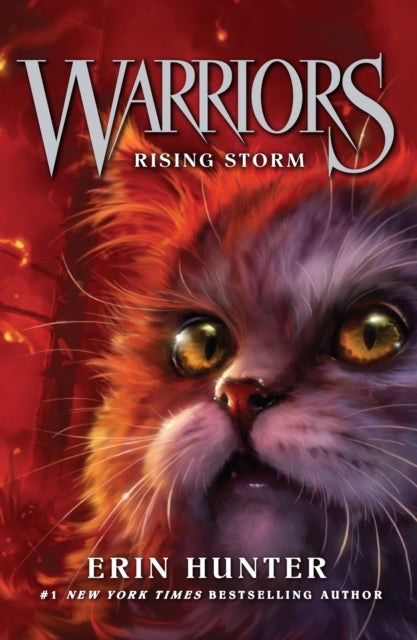 Rising Storm : Book 4 - Agenda Bookshop