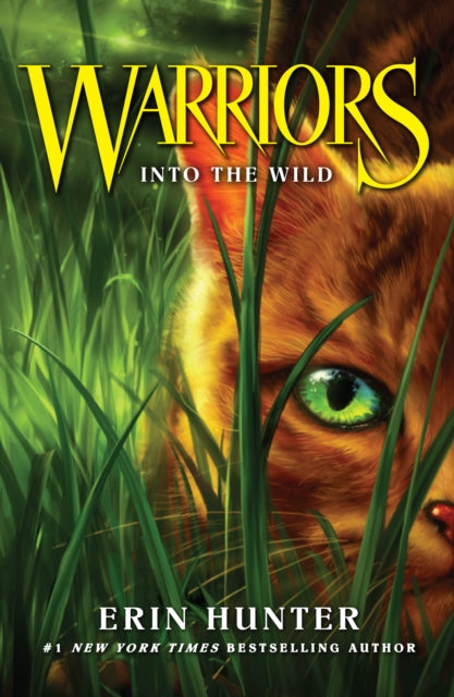 Warrior Cats 1: Into the Wild - Agenda Bookshop