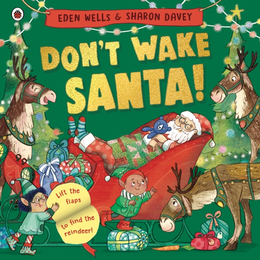 Don''t Wake Santa: A lift-the-flap Christmas book - Agenda Bookshop