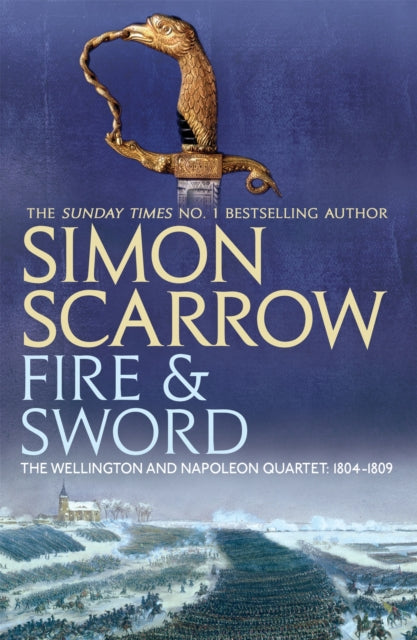 Fire and Sword (Wellington and Napoleon 3) - Agenda Bookshop