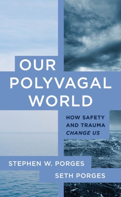 Our Polyvagal World: How Safety and Trauma Change Us - Agenda Bookshop