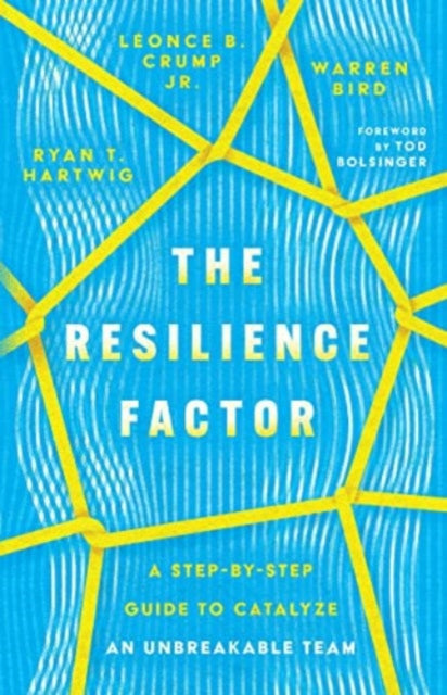 The Resilience Factor  A StepbyStep Guide to Catalyze an Unbreakable Team - Agenda Bookshop