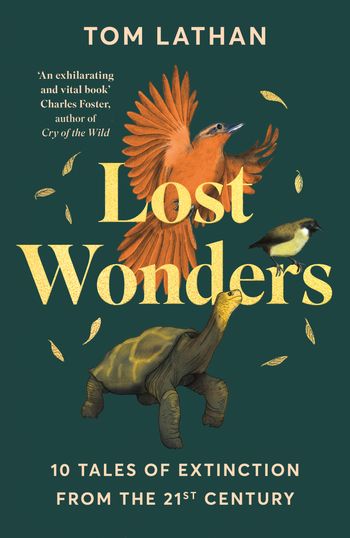 Lost Wonders PB - Agenda Bookshop