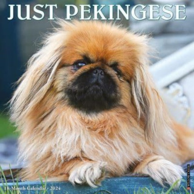 Just Pekingese 2024 12 X 12 Wall Calendar - Agenda Bookshop