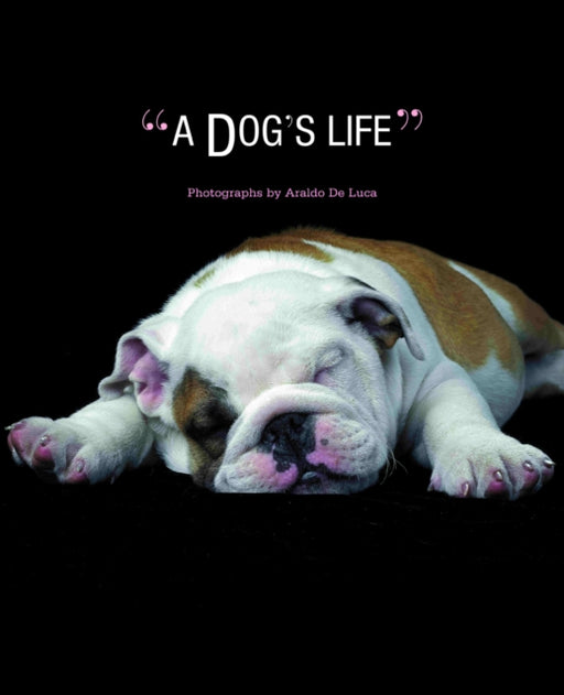 A Dog's Life (Hardback) - Agenda Bookshop