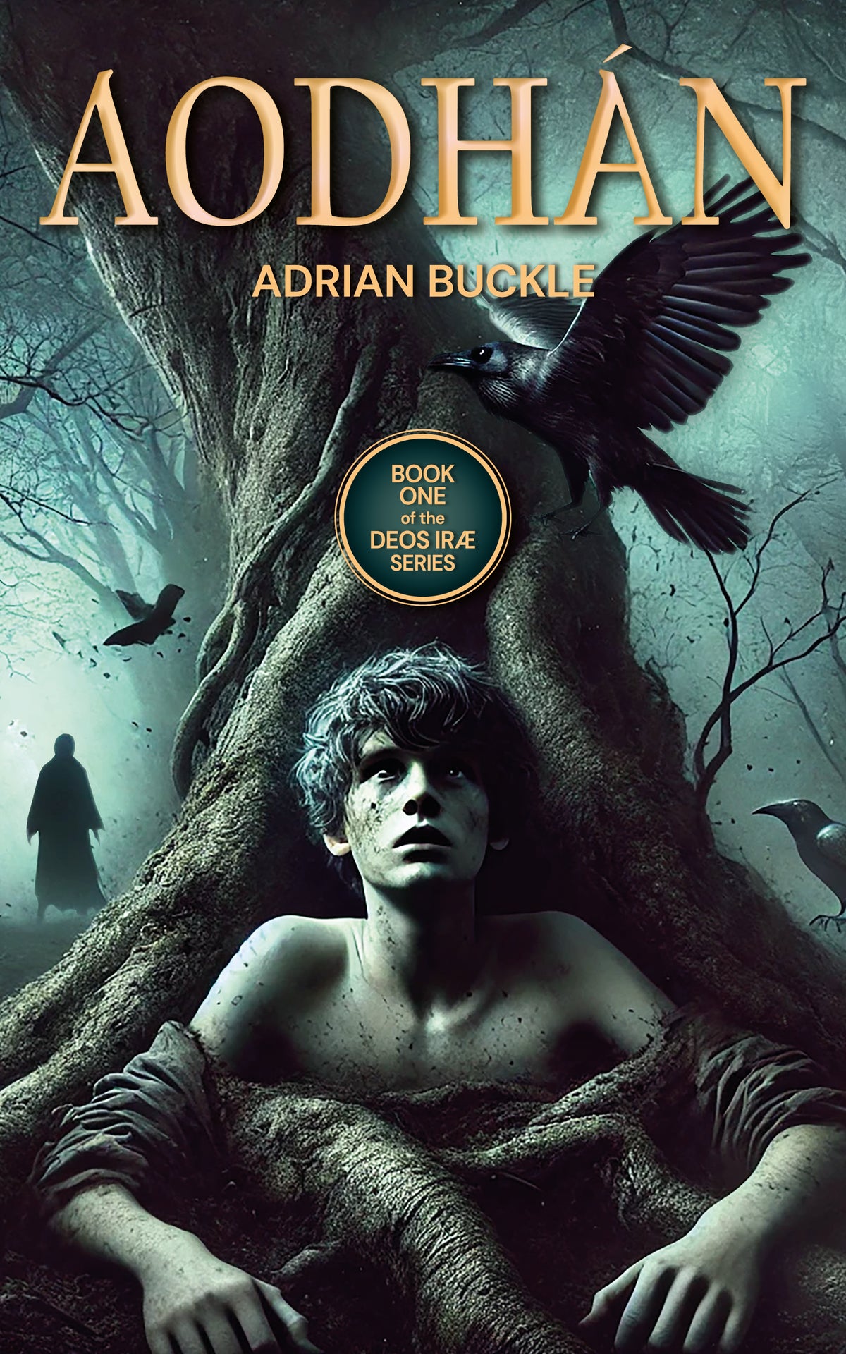 AODHÁN Book 1 - Agenda Bookshop