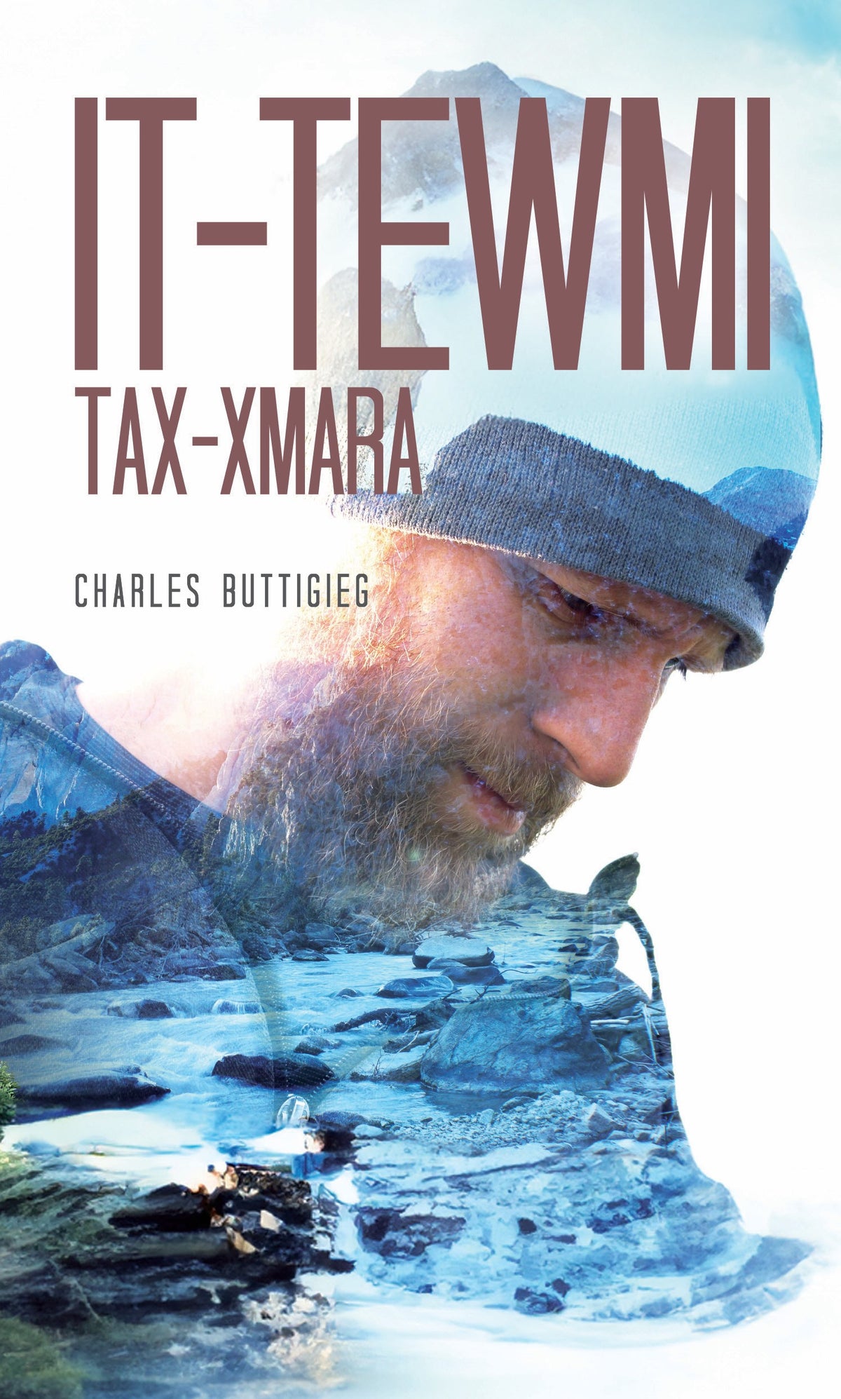 HZ It-Tewmi tax-Xmara - Agenda Bookshop