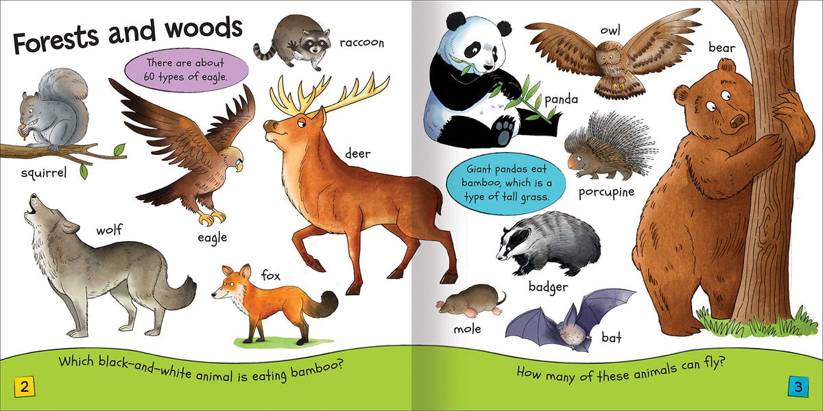 My Book of Animals : For Ages 3+ - Agenda Bookshop