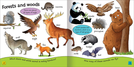 My Book of Animals : For Ages 3+ - Agenda Bookshop