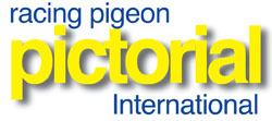 Racing Pigeon Pictorial International - Agenda Bookshop