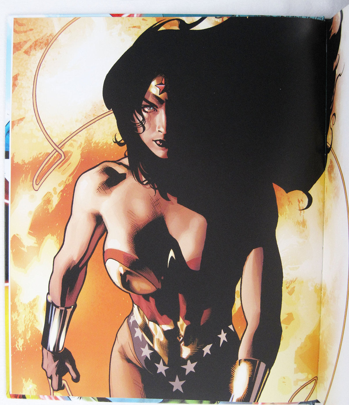 DC Comics Universe Guide - Agenda Bookshop