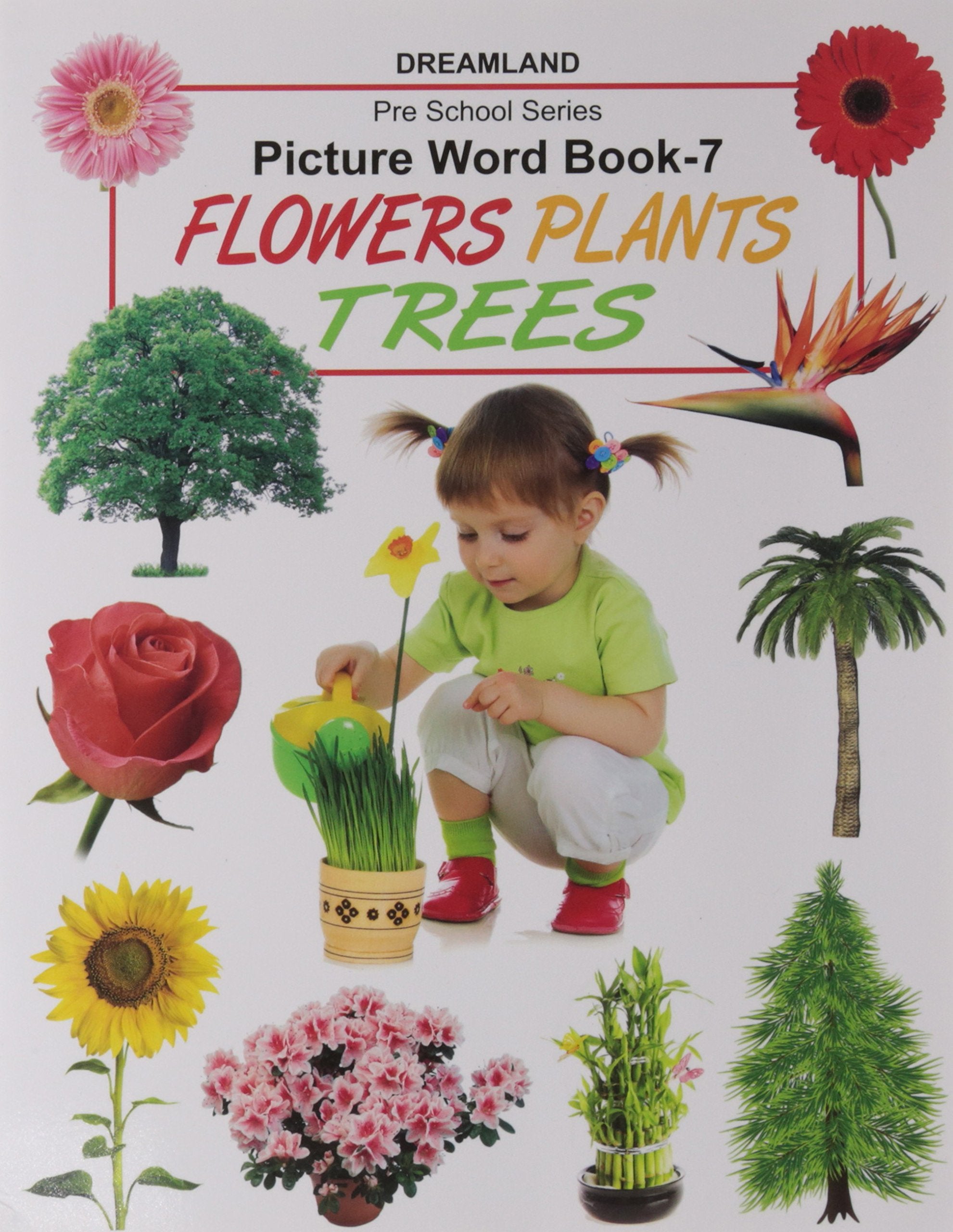 DP CHILDREN'S PICTURE WORD-BOOK PART 7 - Agenda Bookshop