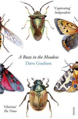 A Buzz in the Meadow - Agenda Bookshop