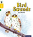 Oxford Reading Tree inFact: Oxford Level 5: Bird Sounds - Agenda Bookshop