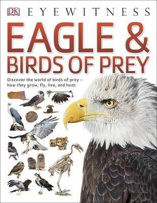 Eagle & Birds of Prey - Agenda Bookshop