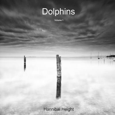 Dolphins - Volume 1 - Agenda Bookshop