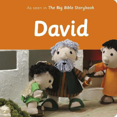 David: As Seen In The Big Bible Storybook - Agenda Bookshop