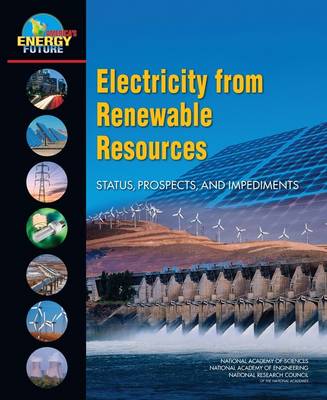 Electricity from Renewable Resources: Status, Prospects, and Impediments - Agenda Bookshop