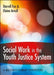 Social Work in the Youth Justice System: A Multidisciplinary Perspective - Agenda Bookshop