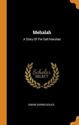 Mehalah: A Story of the Salt Marshes - Agenda Bookshop