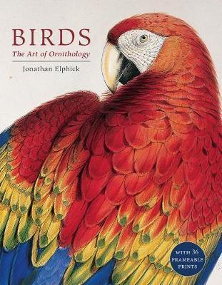 Birds: The Art of Ornithology (Boxed Set) - Agenda Bookshop