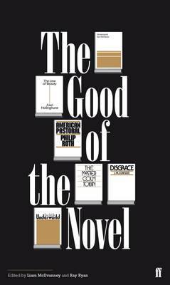 The Good of the Novel - Agenda Bookshop