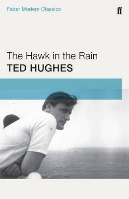 The Hawk in the Rain - Agenda Bookshop