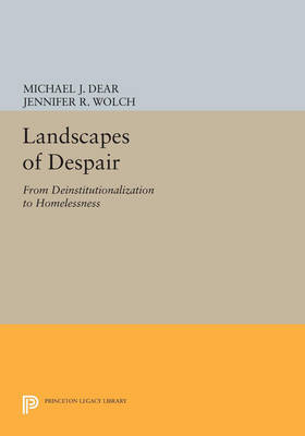 Landscapes of Despair: From Deinstitutionalization to Homelessness - Agenda Bookshop