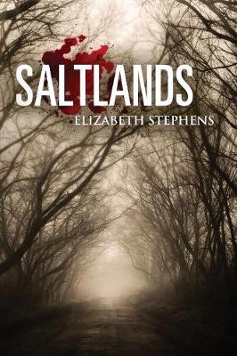 Saltlands, Population #2 (Interracial Post Apocalyptic Scifi Romance) - Agenda Bookshop