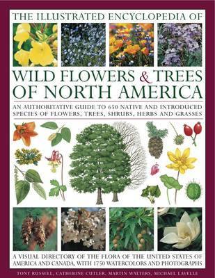 The Illustrated Encyclopedia of Wild Flowers & Trees of North America: an Authoritative Guide to 650 Species of Flowers, Trees, Shrubs, Herbs and Grasses, with 1750 Watercolours, Photographs and Maps - Agenda Bookshop