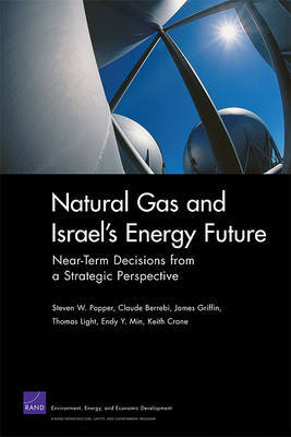 Natural Gas and Israel''s Energy Future: Near-Term Decisions from a Strategic Perspective - Agenda Bookshop