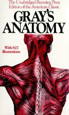 Grays Anatomy - Agenda Bookshop