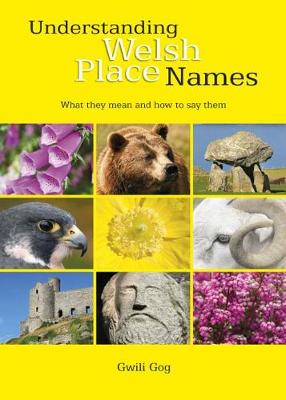 Understanding Welsh Place Names: What They Mean and How to Say Them - Agenda Bookshop