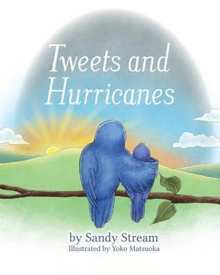 Tweets and Hurricanes - Agenda Bookshop