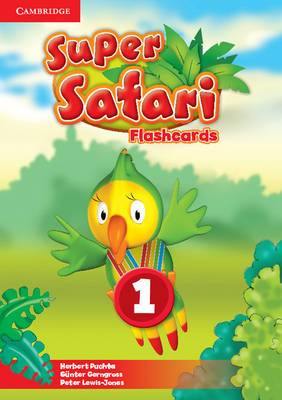 Super Safari Level 1 Flashcards (Pack of 40) - Agenda Bookshop
