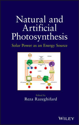 Natural and Artificial Photosynthesis: Solar Power as an Energy Source - Agenda Bookshop