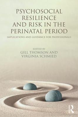 Psychosocial Resilience and Risk in the Perinatal Period: Implications and Guidance for Professionals - Agenda Bookshop