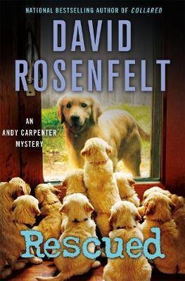 Rescued: An Andy Carpenter Mystery - Agenda Bookshop