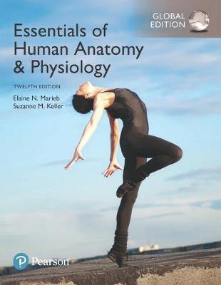 Essentials of Human Anatomy & Physiology plus Pearson Modified Mastering Anatomy & Physiology with Pearson eText, Global Edition - Agenda Bookshop