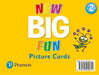 Big Fun Refresh Level 2 Picture Cards - Agenda Bookshop