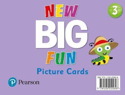 Big Fun Refresh Level 3 Picture Cards - Agenda Bookshop
