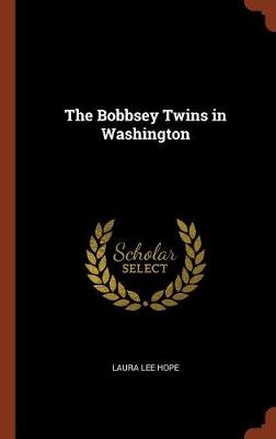 The Bobbsey Twins in Washington - Agenda Bookshop
