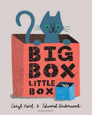 Big Box Little Box - Agenda Bookshop