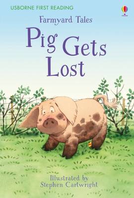USB PIG GETS LOST - Agenda Bookshop